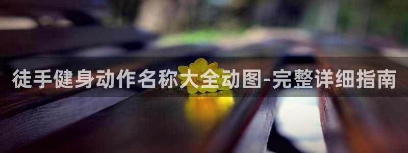 龙8国际头号玩家下载
