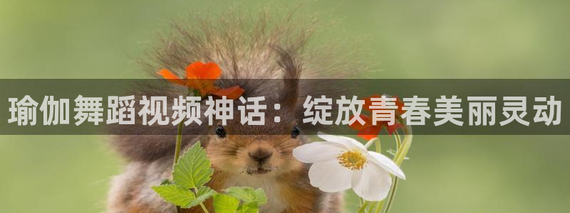 龙8国际官方网站