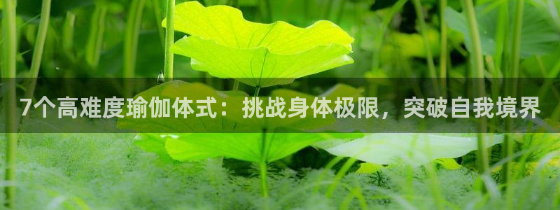 龙8国际的漏洞