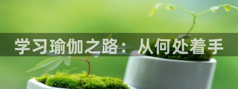 龙8国际唯一官网手游登入口