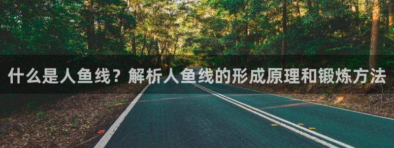 龙8国际pt网址官方