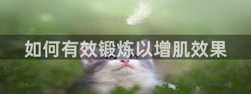 龙8国际官方网站龙8国际pt老虎机