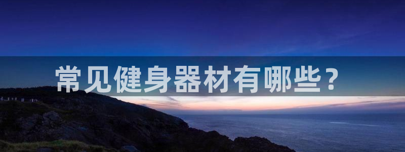 龙8国际平台