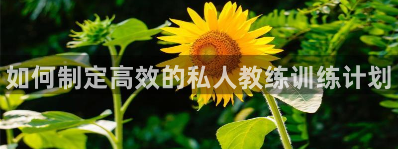 龙8游戏平台官方网站是多少