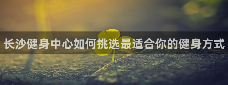 龙8国际官方平台