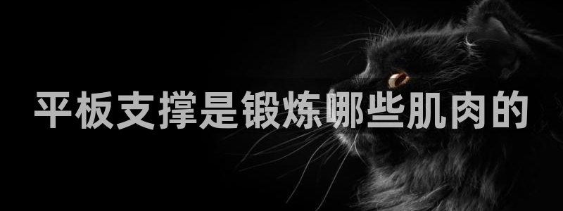 龙8国际官网官方版fxzls天地手游 -kc -安卓