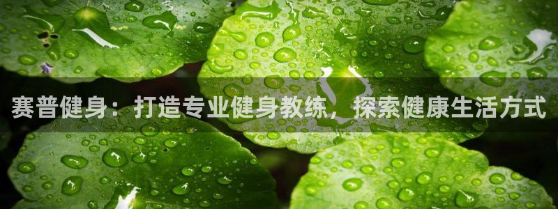 下载龙八国际官网