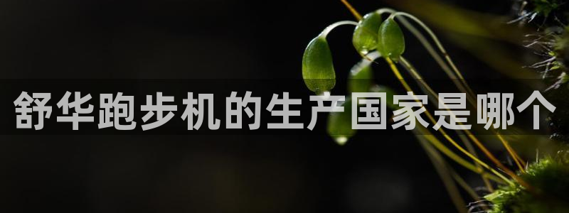 龙8国际开户