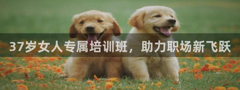 龙8国际app下载手机版