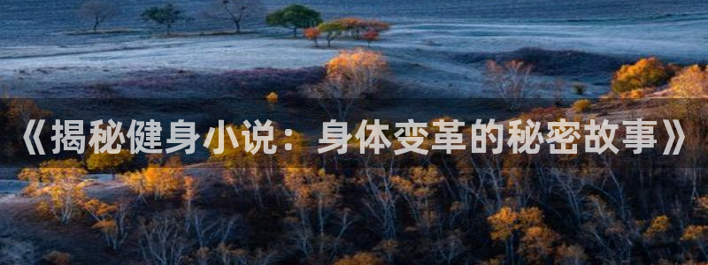 龙八国际pt