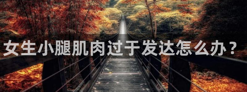 龙8游戏网站