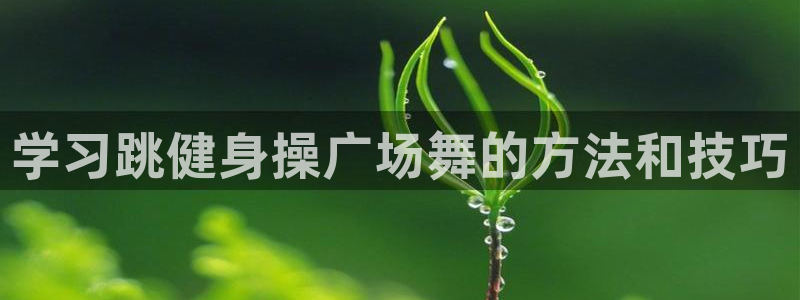 龙八国际城