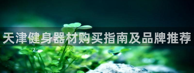 龙8游戏官网
