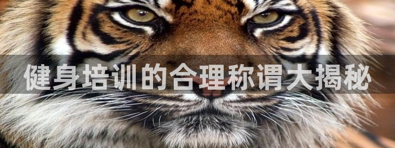 龙8国际平台登录