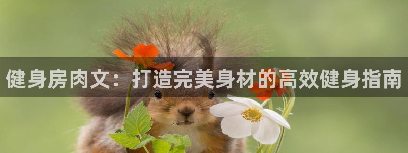 龙8唯一官网