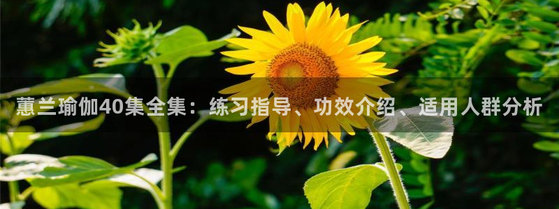 龙八国际娱乐在线游戏