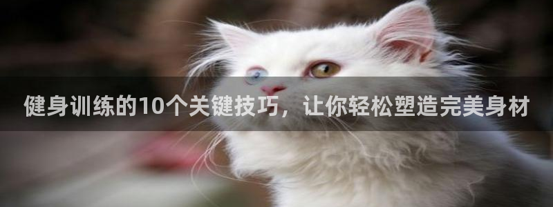 龙8国际登录网址推荐ag87253