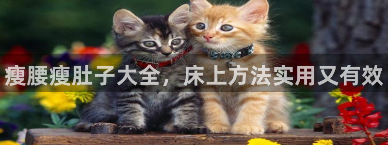 龙八国际首页
