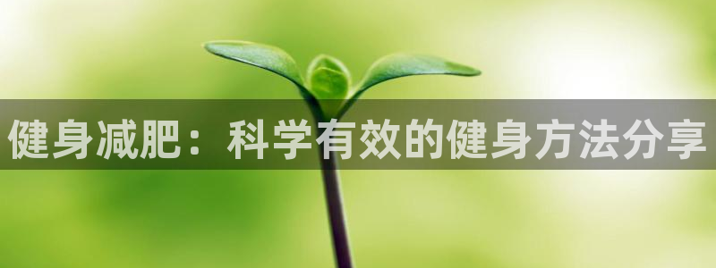 龙8国际棋牌