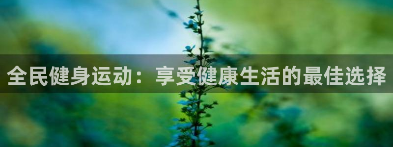 龙8国际官方手机版登录