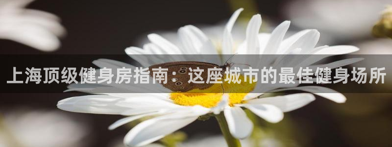 龙8国际棋牌