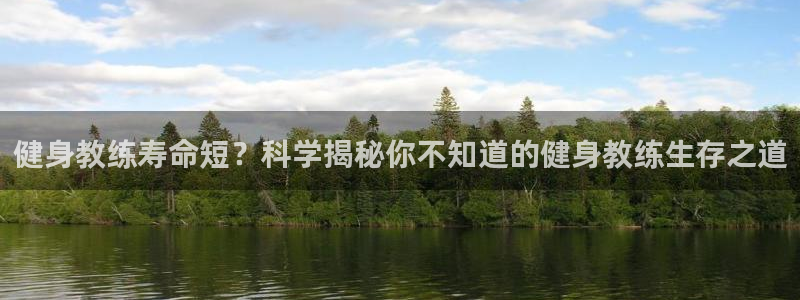 龙8国际游资如何