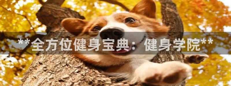 龙8官网手机登入口
