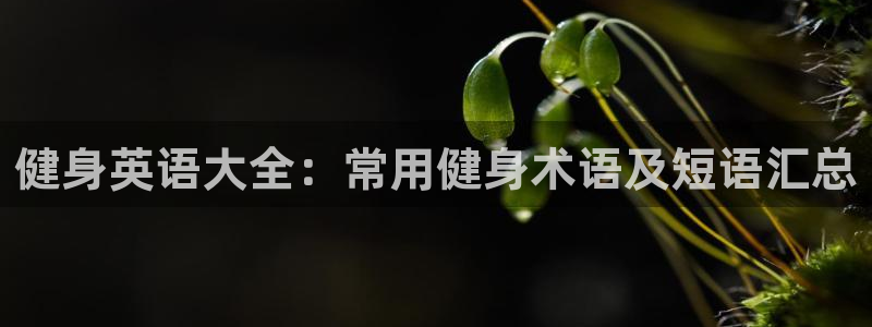 龙 八国际