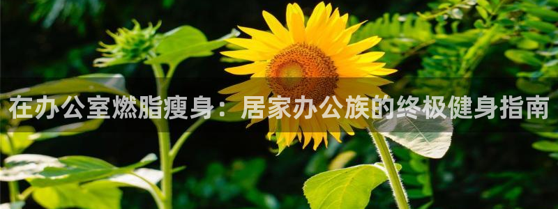 龙8国际官网版