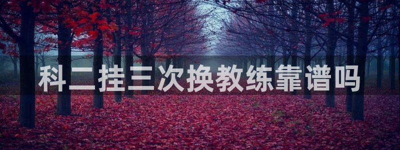 龙8国际手机官网下载安装