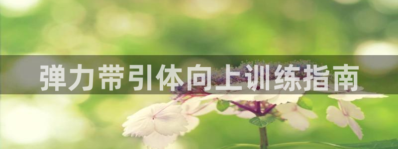 龙8国际登录网址推荐ag87253