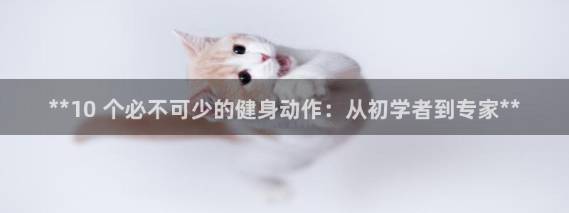 下载龙八国际