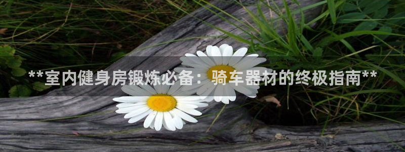 龙8国际老虎机官网