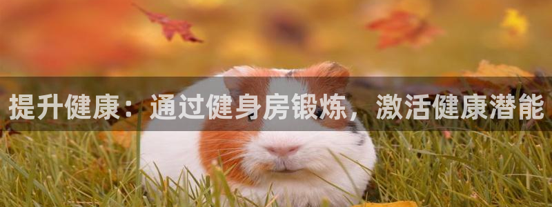 龙8国际怎么进不去了