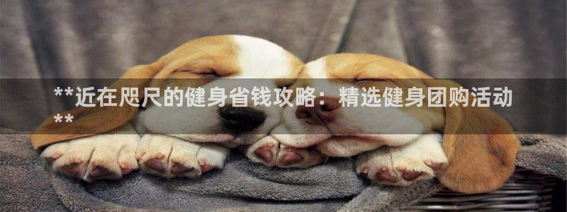 龙8国际官方网站手机版