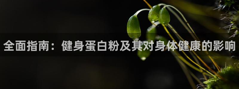龙8国际登录网址推荐ag87253
