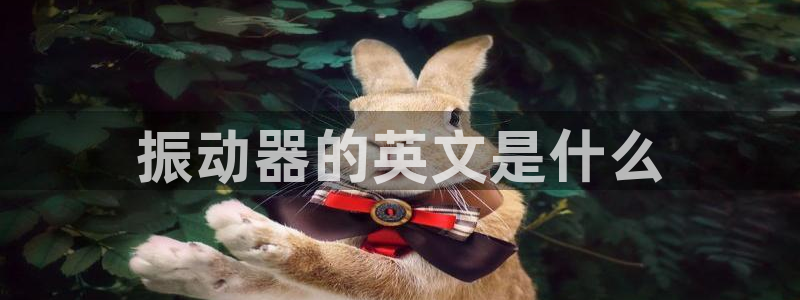 国际龙8hk