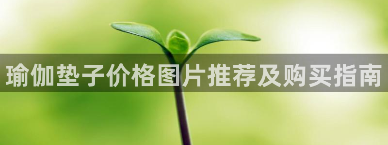 龙8国际app官网下载
