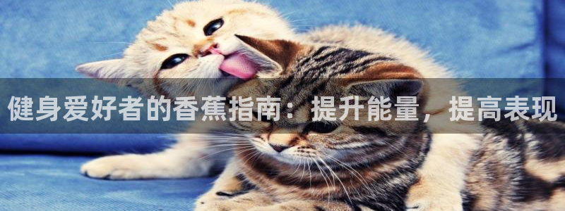 龙8 国际