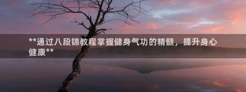 龙8国际pt