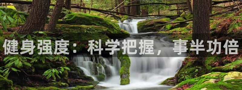 龙8国际网址多少