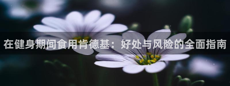 龙8国际官网版
