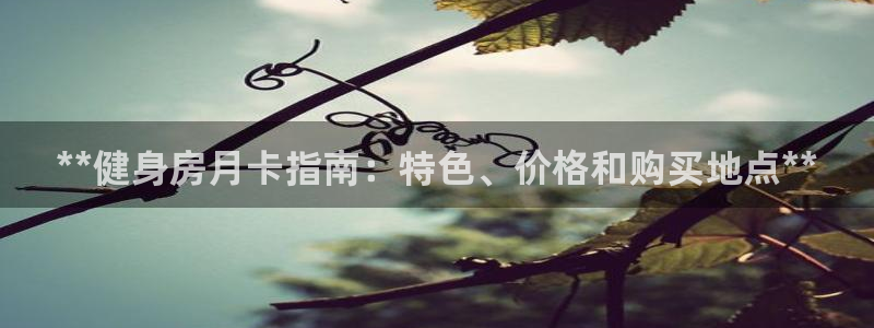 龙8国际手机版app