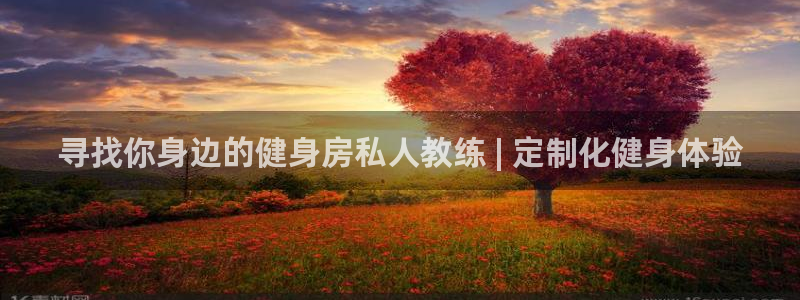 龙8棋牌官网