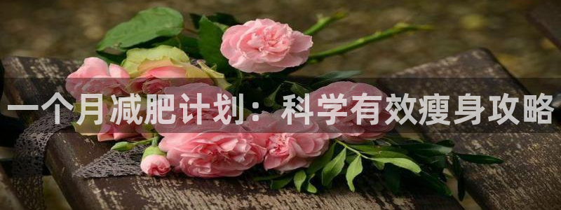 龙八国际pt