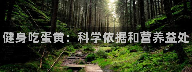 龙8国际.com
