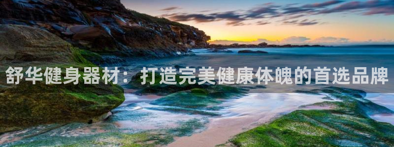 龙8国际官网版