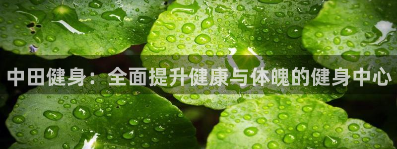 下载龙八国际