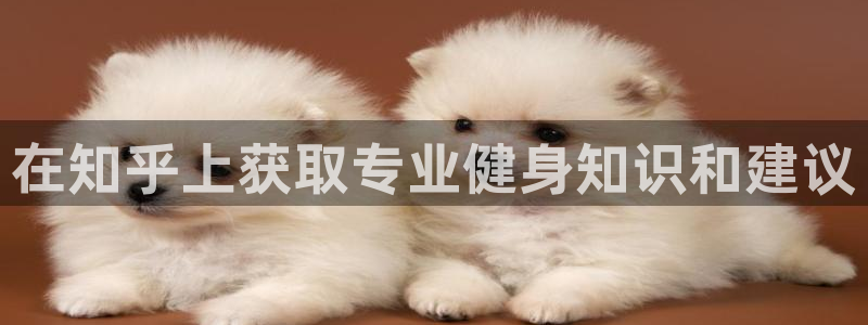 龙8国际网址