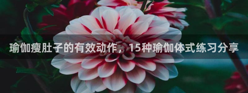 龙8国际游资如何